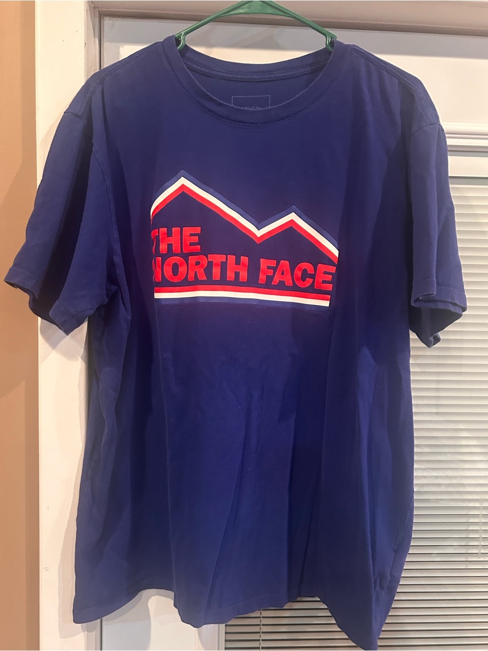The North Face Men’s Blue Logo Tee